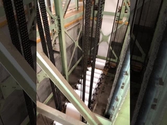 RAL9003/RAL9003, AZ150 컬러 코팅 스틸 코일 선발 페인트 밸류엄 스틸 코일